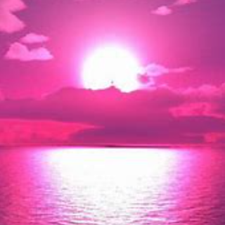 Pink Sunset
