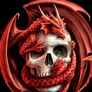 Skull dragon