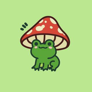 Cute frog with mushroom hat