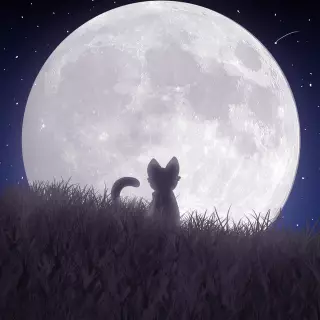 Warrior Cat at the moon Aesthetic
