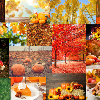 Fall Wallpaper