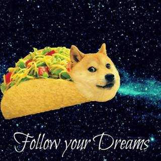 taco doge