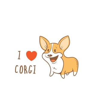 corgis are soooo cute