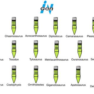 Ingen list prehistoric animals embryos part 2
