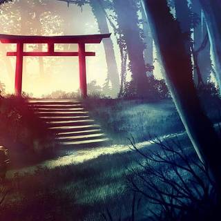 Japanese Torii Gate in the Forest  wallpaper