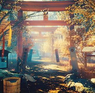 Japanese Torii Gate in the Forest wallpaper