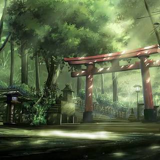 Japanese Torii Gate in the Forest wallpaper
