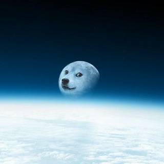 Moon Doge