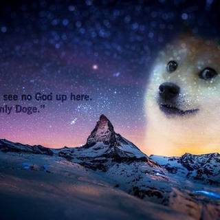 God Doge