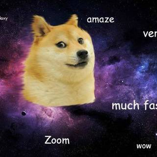 Doge