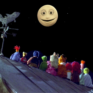 The Muppets See Luna in the Night Sky