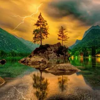 Aesthetic trees on a rock wallpaper