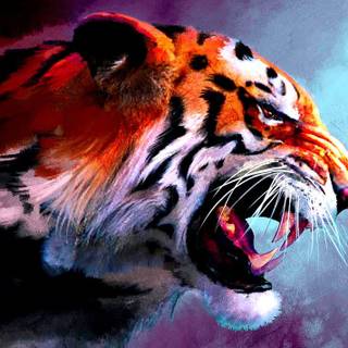 Tiger wallpaper