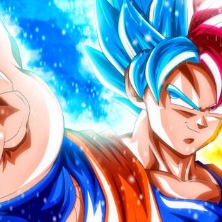 Goku Blue/Red