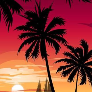 Illustration sunset 4k Wallpapers