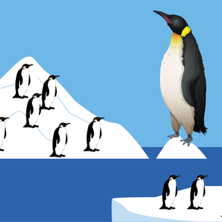 All hail the penguin leader