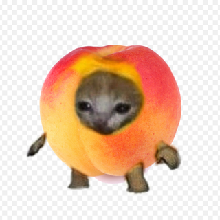 Peach cat png 