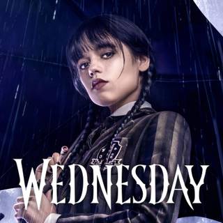 When is Season 2 of Wednesday going to come out???