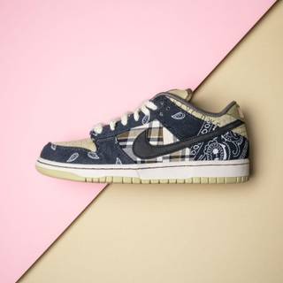Cactus Jack Dunks