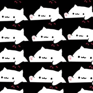 Bongo cat