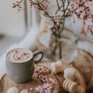 cute cozy spring background