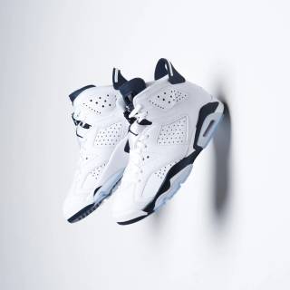 Jordan retro 6s