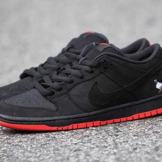 Pigeon Dunks