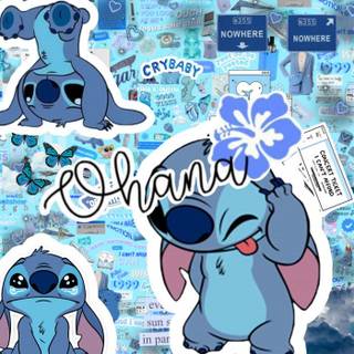 stitch