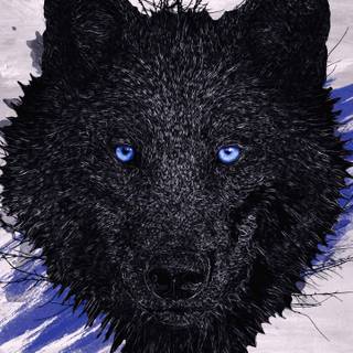 Black wolf art wallpaper
