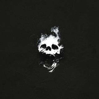 Destiny Raid Wipe BG