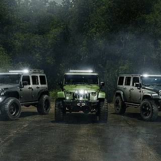 Jeep Wranglers