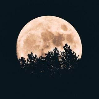 moon wallpaper