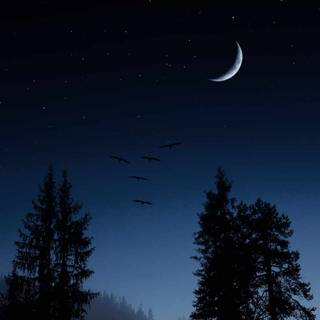 Crescent Moon wallpaper