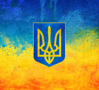 Ukraine Flag 