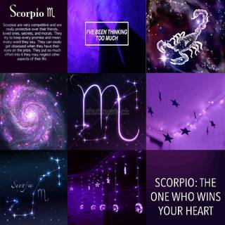 Cute purple Scorpio ☺