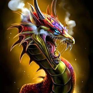 Dragon 4K wallpaper