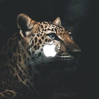 Jaguar Apple logo  wallpaper