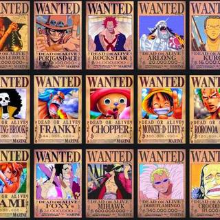One Piece:Wanted Posters 
