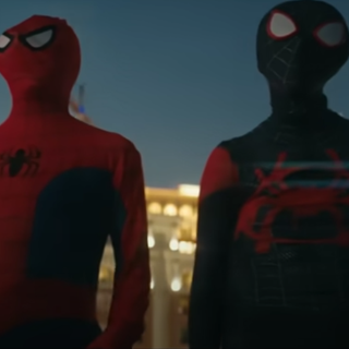 spooder man across the spooder verse