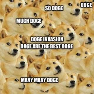 Doge Invasion