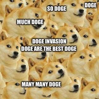 Doge Invasion