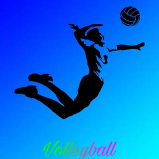 Volleyball <3