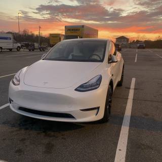 My Tesla 