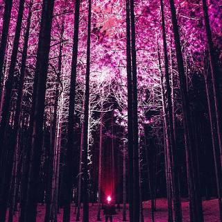 Japanese blossom tree fantasy 4K wallpaper