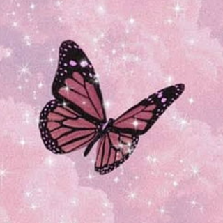 Cute Pink Aesthetic Butterfly 