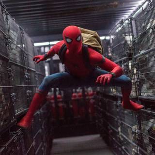Spider Man 