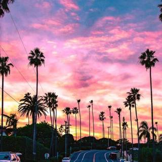 California Sunset 