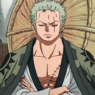 Bored Zoro