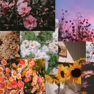 Flower Collage!