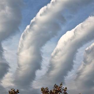 Morning Glory clouds